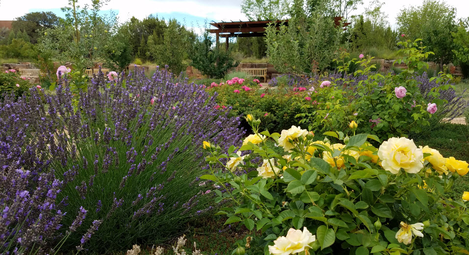 Santa Fe Botanical Garden, United States